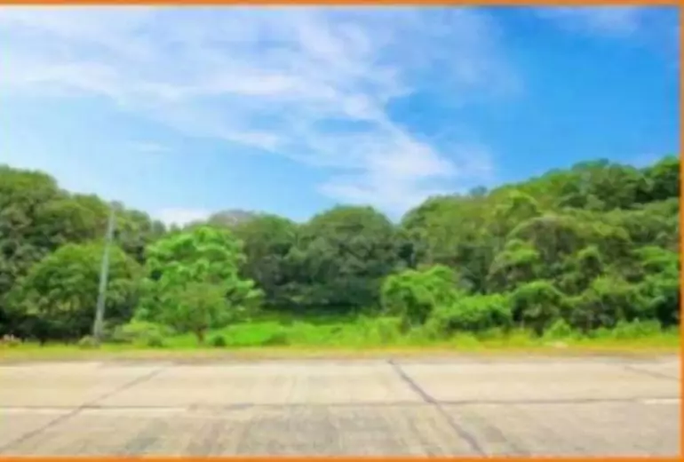 Lot For Sale in Alicia, Bohol