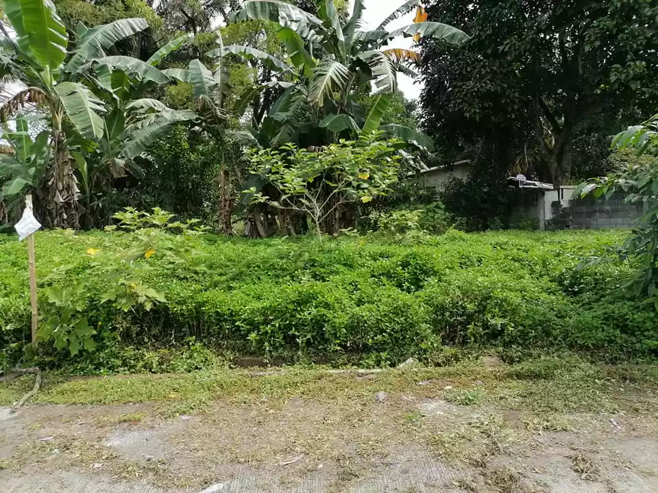 200sqm. lot in Doongan Butuan City along cemented road - photo 4