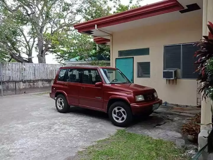 BEACH LOT FOR SALE IN DUMAGUETE CITY - photo 3