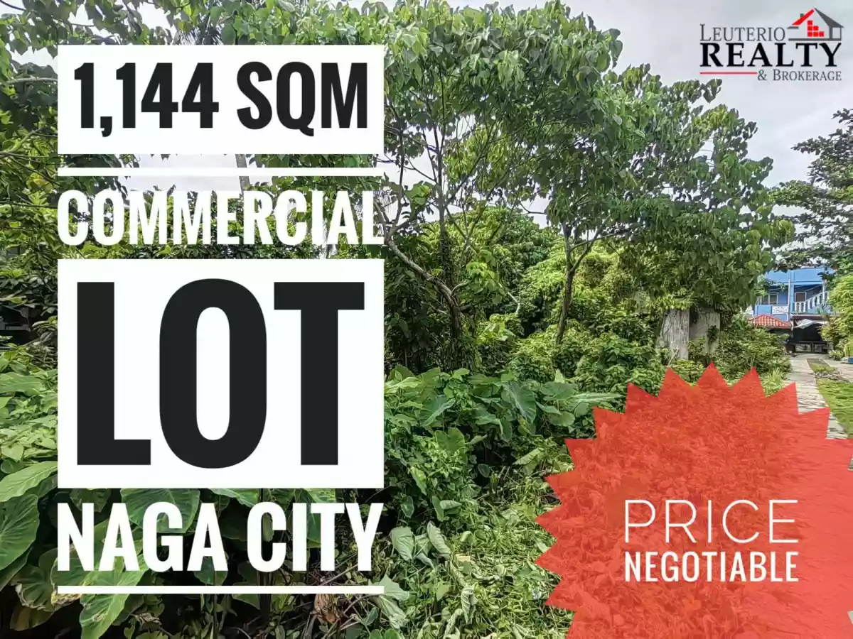 Commercial Lot for Sale Along the Highway Bagumbayan Norte Naga City  - photo 2