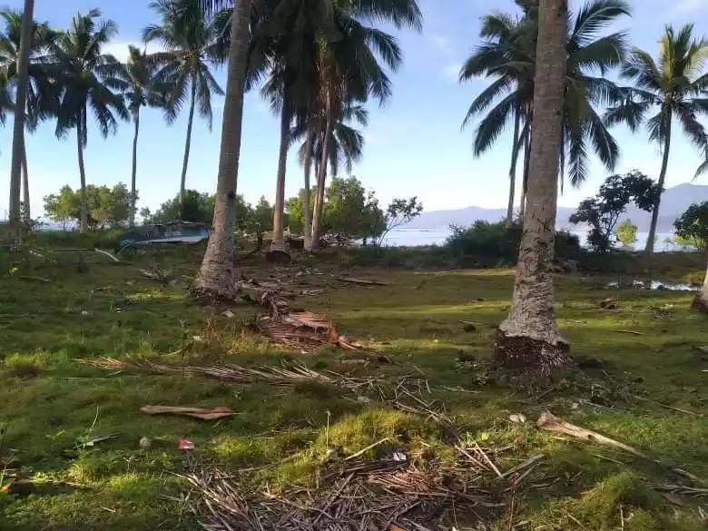 Beachlot in Mati, Davao - photo 2