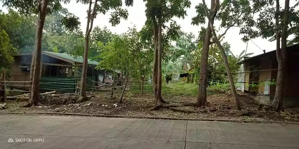 FOR SALE : 8.76 HECTARES IN TABUELAN - photo 2