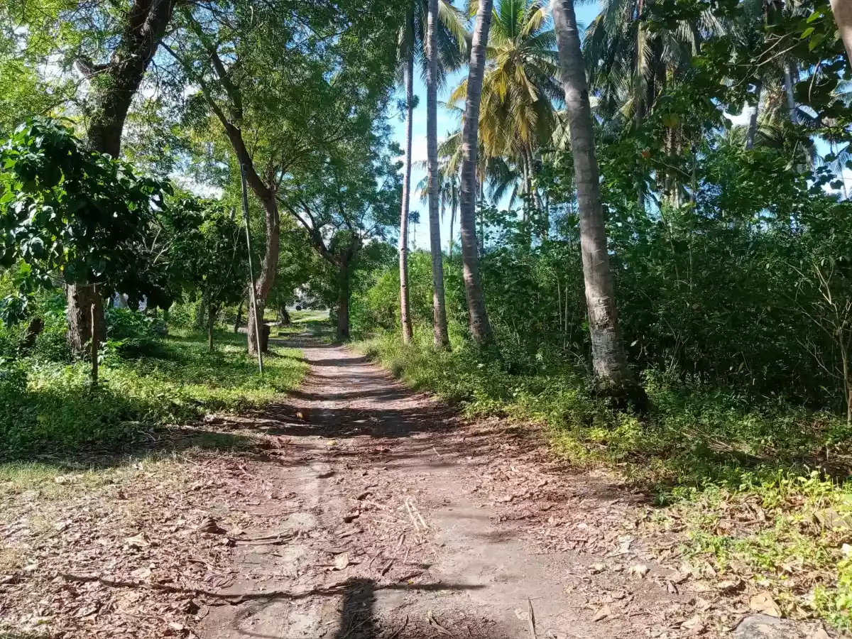 2,925sqm Along Highway Gensan Lot For Sale! — Commercial Lot in General Santos City, South Cotabato, Philippines — Photo 5