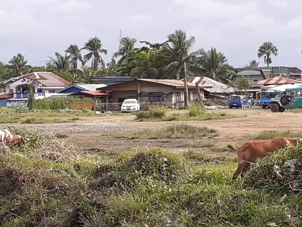 Lot for sale @ bayabas CDO along the high way1has — Residential Lot in Cagayan de Oro, Misamis Oriental, Philippines — Photo 6