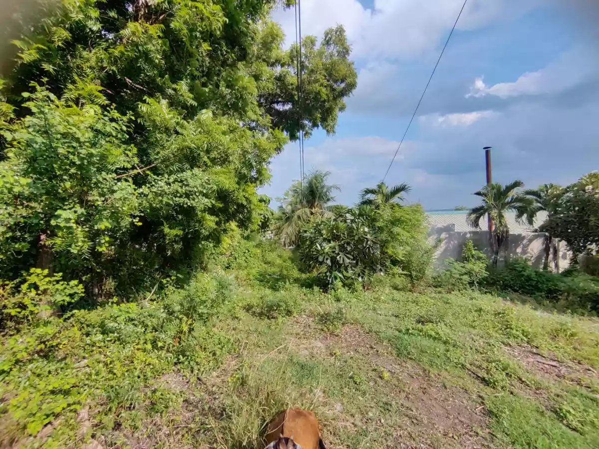 Open photo 11 of 14 — FOR SALE Lot in Tayud, Consolacion, Cebu