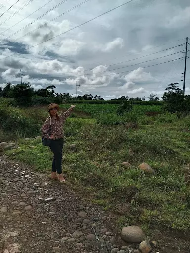 Lot For Sale - photo 5
