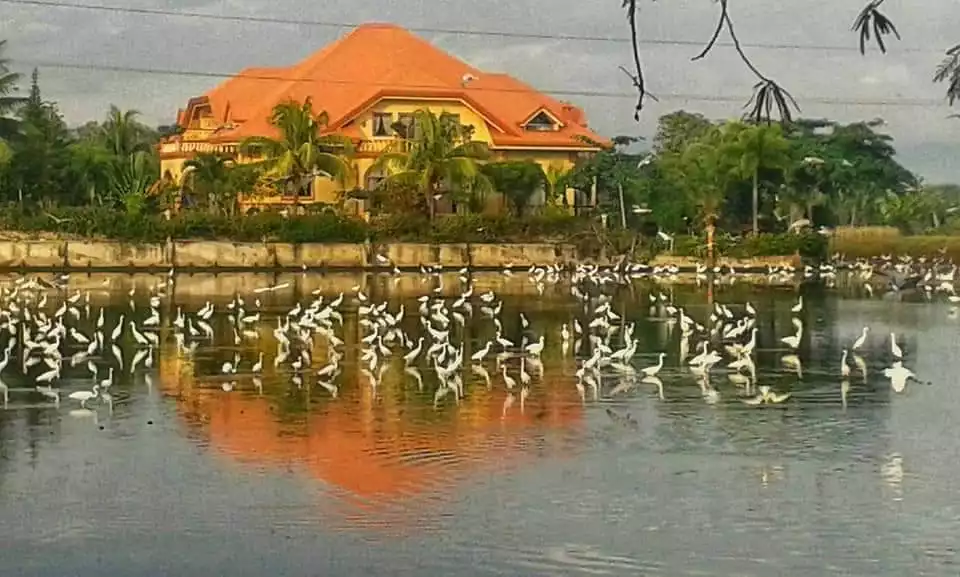 HOUSE & LOT with FISHPOND!!! — House and Lot in Negros Oriental, Philippines — Photo 2