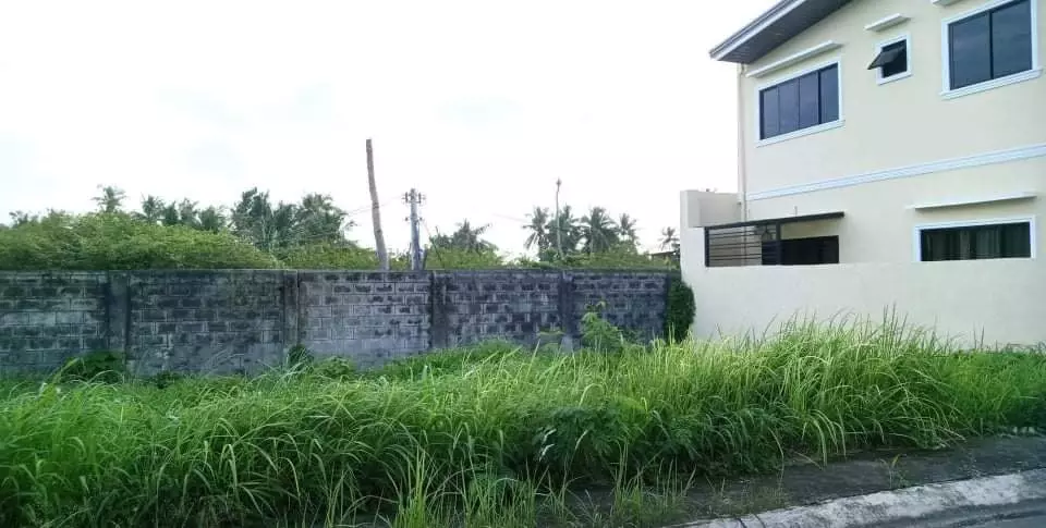 Corona Del Mar Lot for Sale — Residential Lot in Talisay, Cebu, Philippines — Photo 5