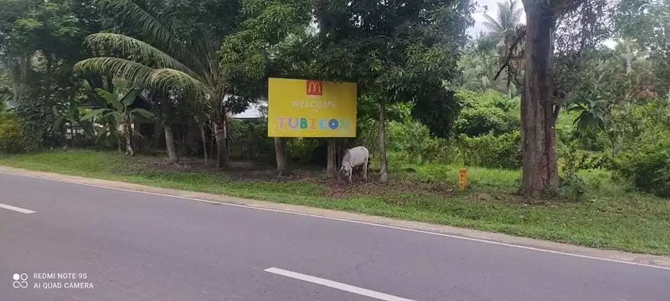 Residential Lot for Sale in Tubigon, Bohol — Residential Lot in Bohol, Philippines — Photo 2