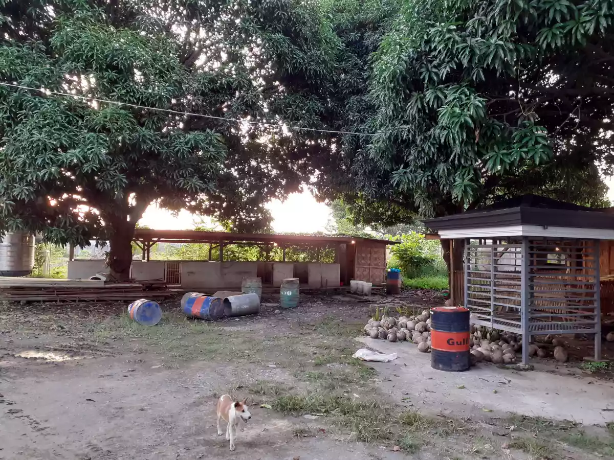 Open photo 20 of 21 — Commercial lot for sale 6000 sqm