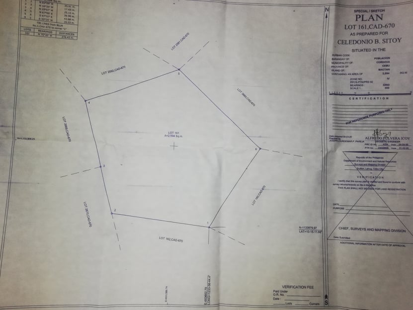 Commercial lot for sale in Cordova at 15,000 per square meter but negotiable. — Commercial Lot in Cordova, Cebu, Philippines — Photo 2