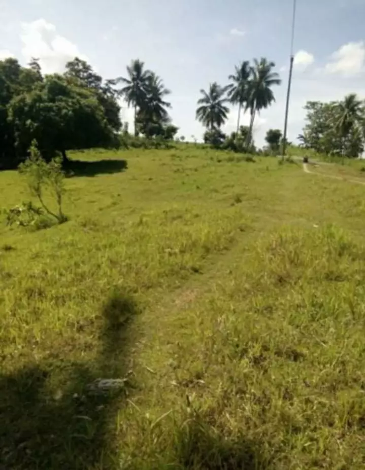 LOT FOR SALE - photo 2