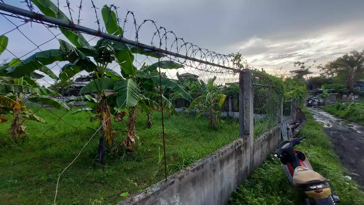 Lot for lease - photo 2