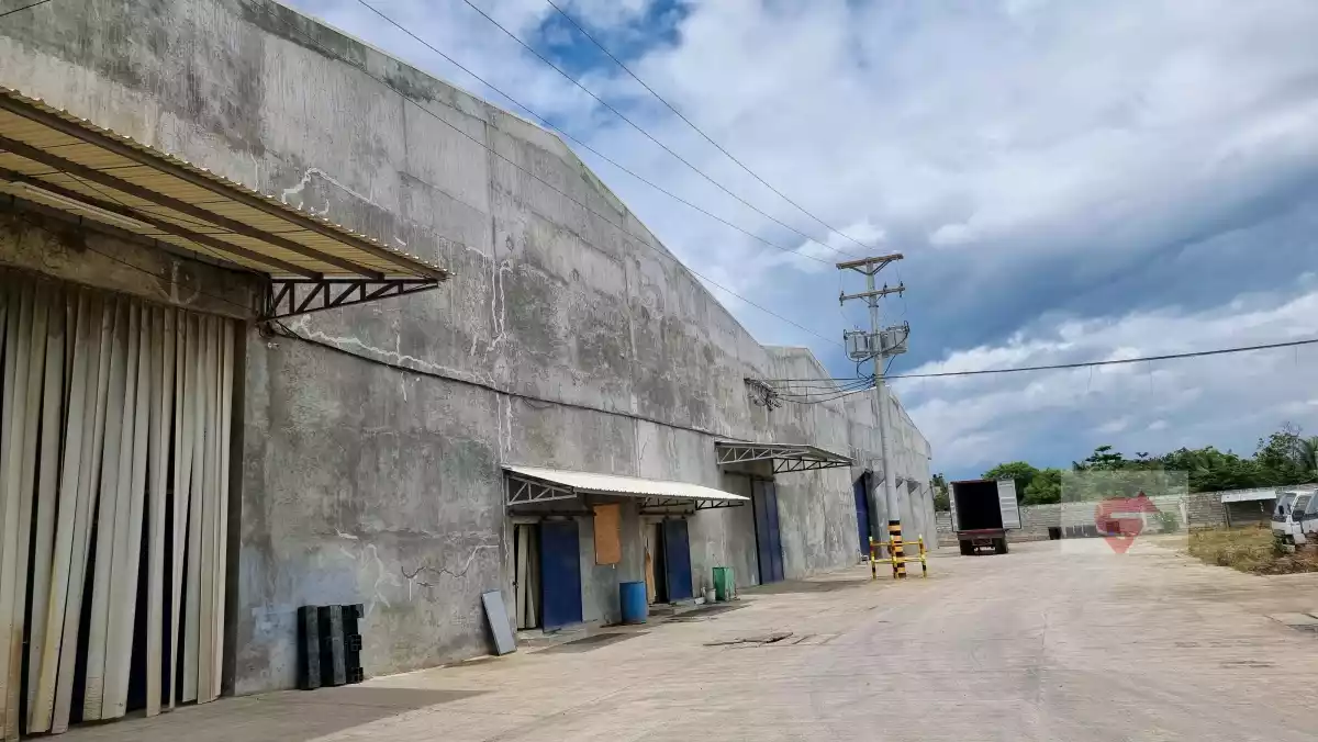 Warehouse for Rent 1,480 sqm 2 units and 4,170sqm - photo 2