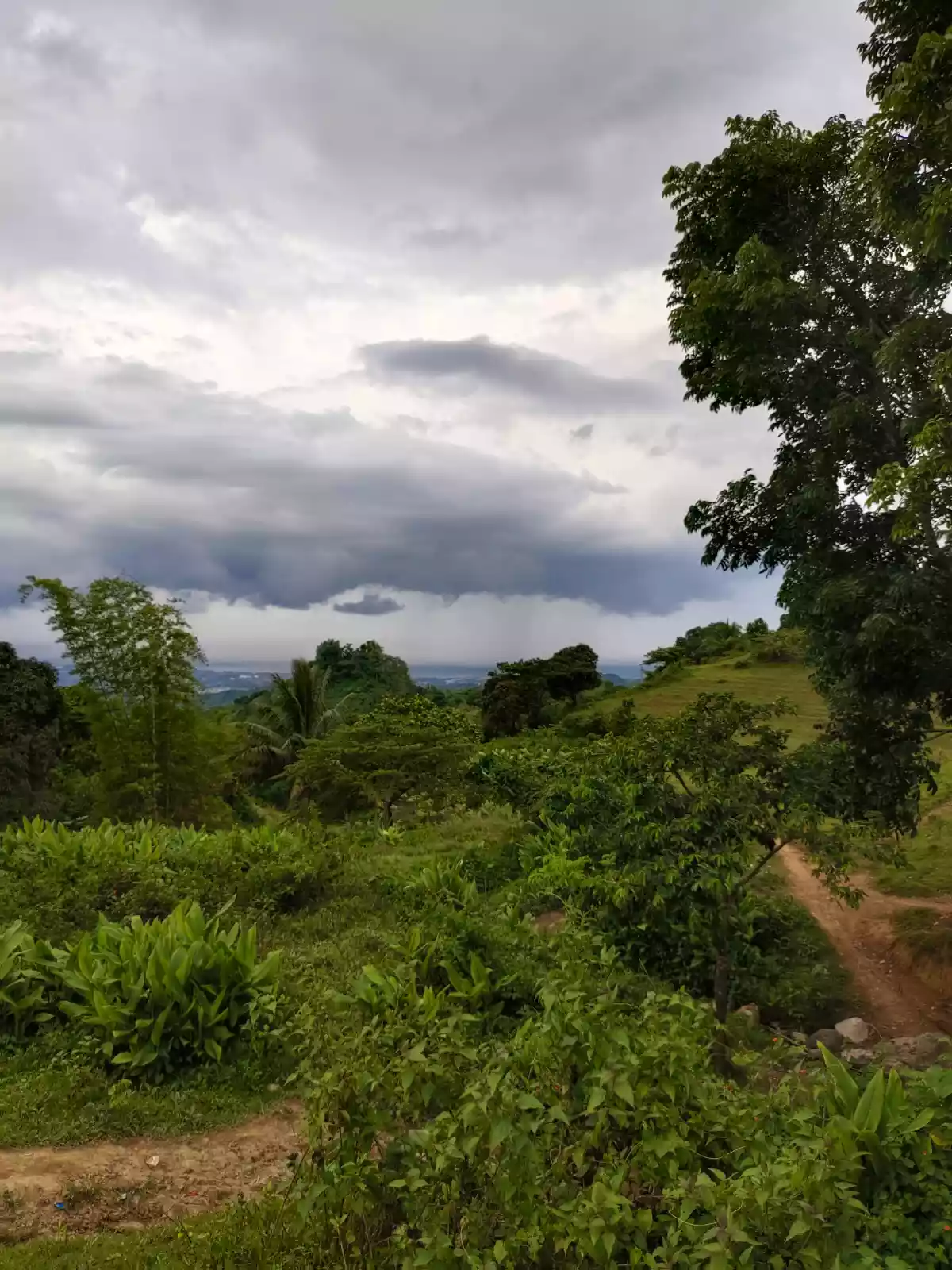 Titled lot - photo 5