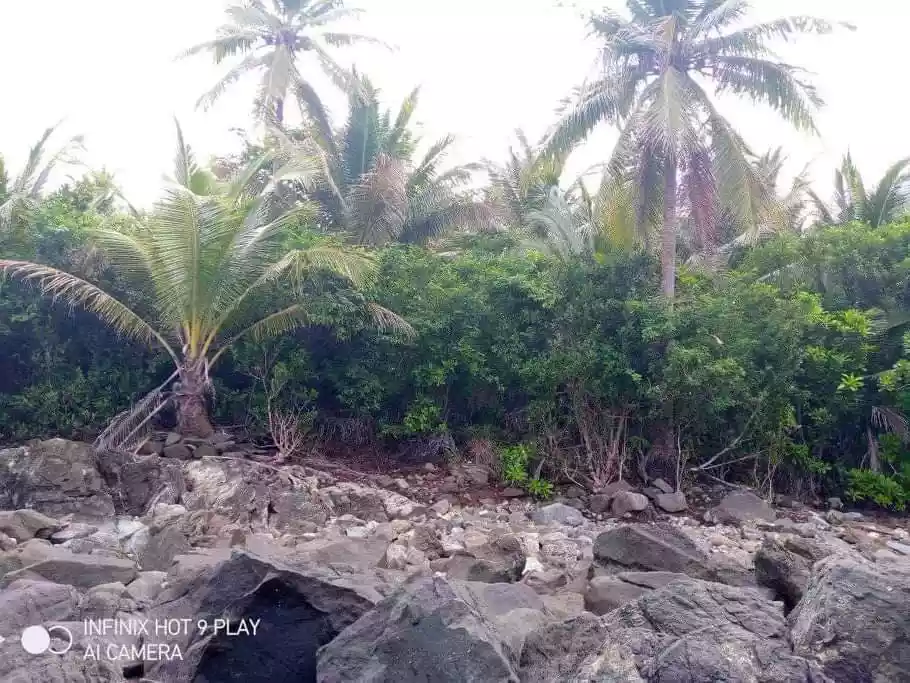 BEACHFRONT LOT FOR SALE IN SOCORRO, SIARGAO ISLANDS - photo 4