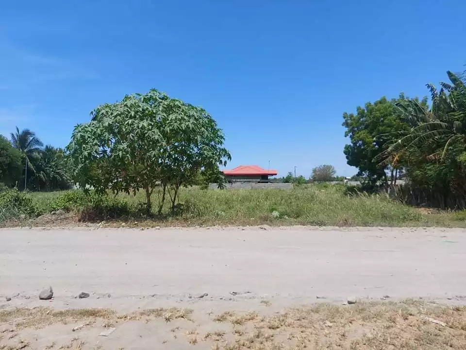 Corner Residential/Commercial Lot in Gensan - photo 6