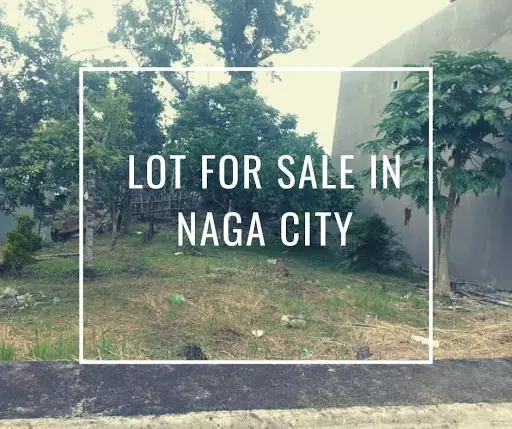 Open photo 22 of 27 — Rush Lot For Sale