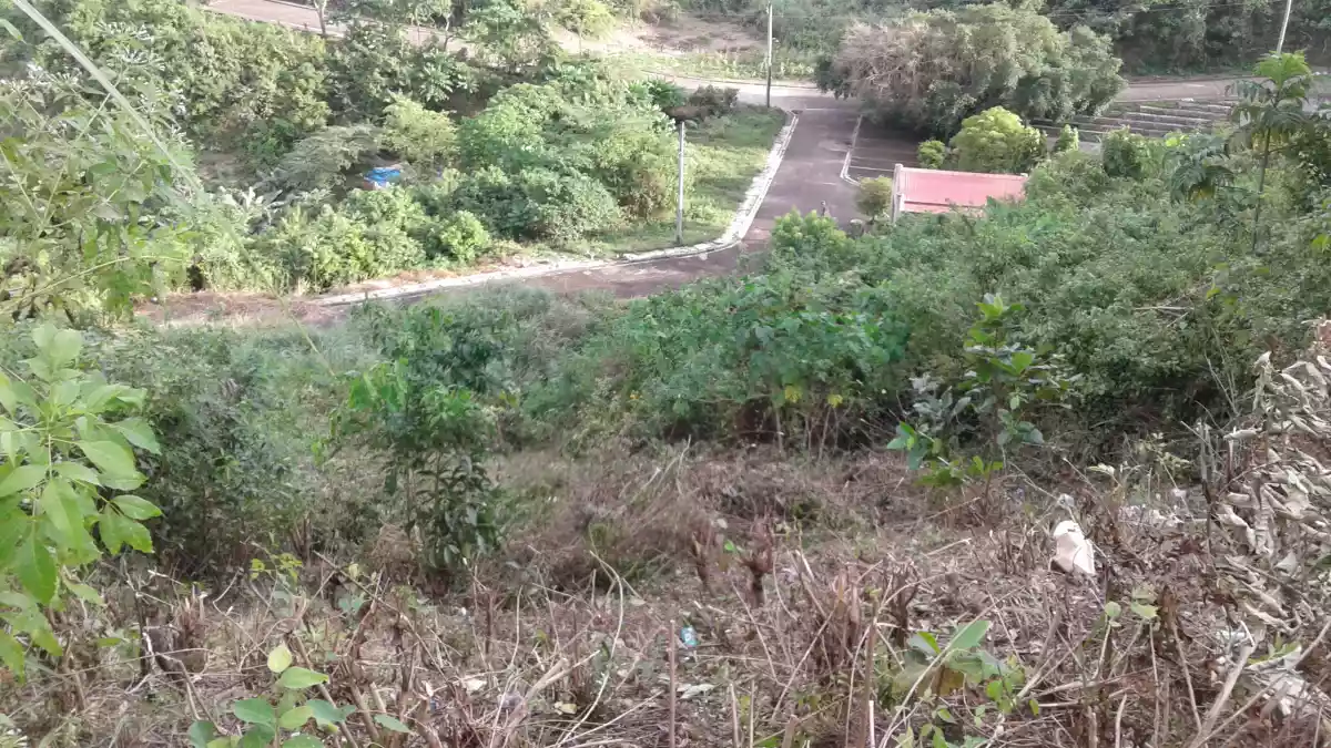 Residential Lot for sale in Talamban cebu city - photo 5