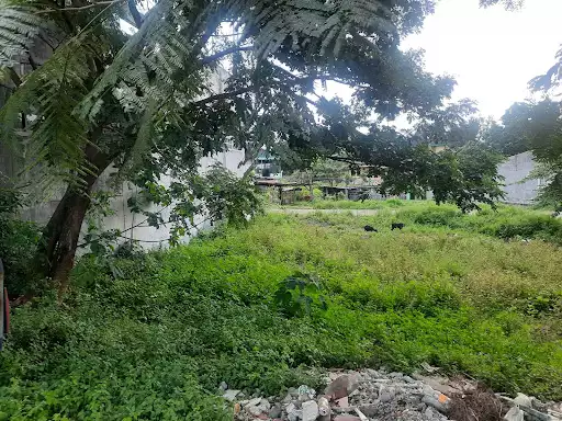 Commercial lot along Governor's drive Dasma, Cavite — Commercial Lot in Dasmari?as, Cavite, Philippines — Photo 2