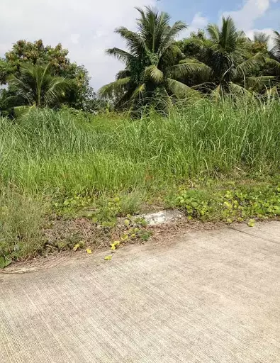 Lot for sale inside high end subdivision in Talisay — Residential Lot in Pooc, Talisay, Cebu — Photo 4