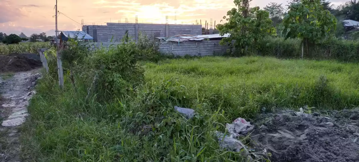 Lot only back of lessandra  - photo 5