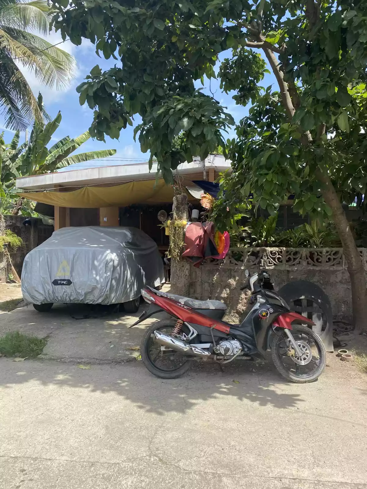 Lot with Duplex Apartment - photo 3