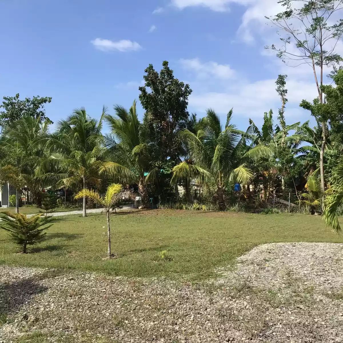 Land for Sale - Basdiot, Moalboal — Commercial Lot in Barangay Bugas, Moalboal, Cebu — Photo 6