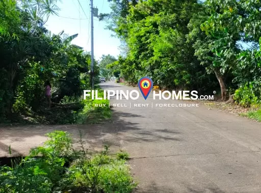 Agricultural Lot for Sale in Naga, Camarines Sur — Agricultural Lot in Naga, Camarines Sur, Philippines — Photo 3