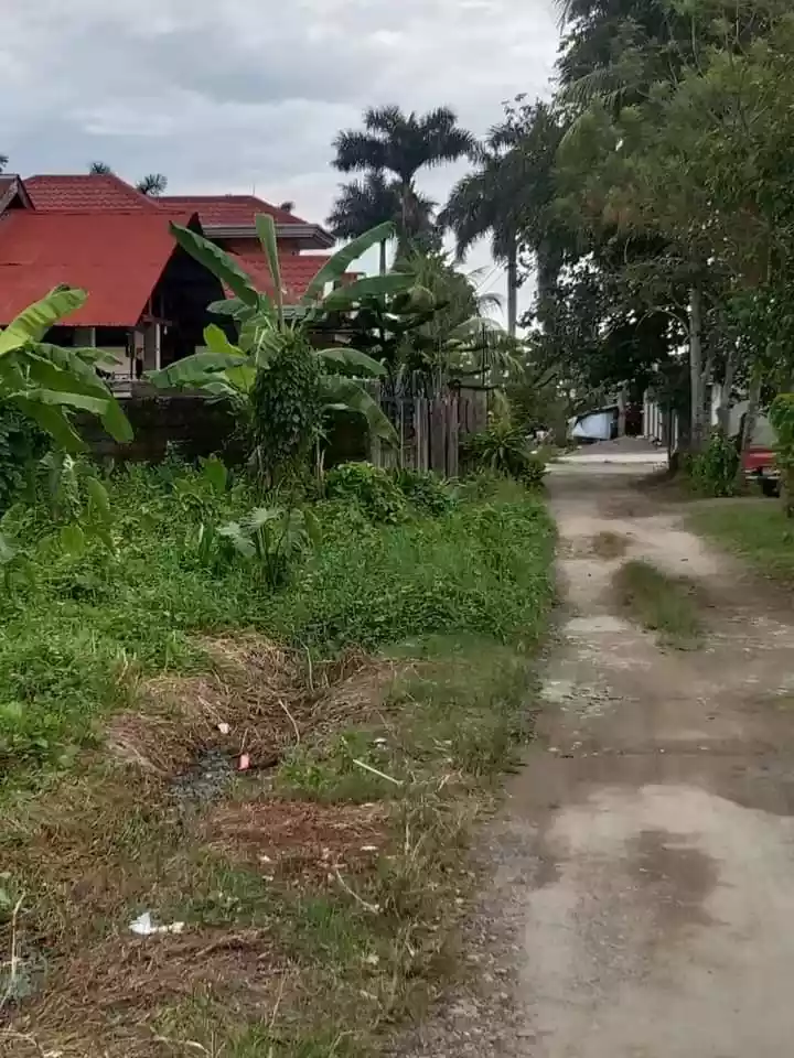 RESIDENTIAL LOT FOR SALE IN APOKON - photo 5