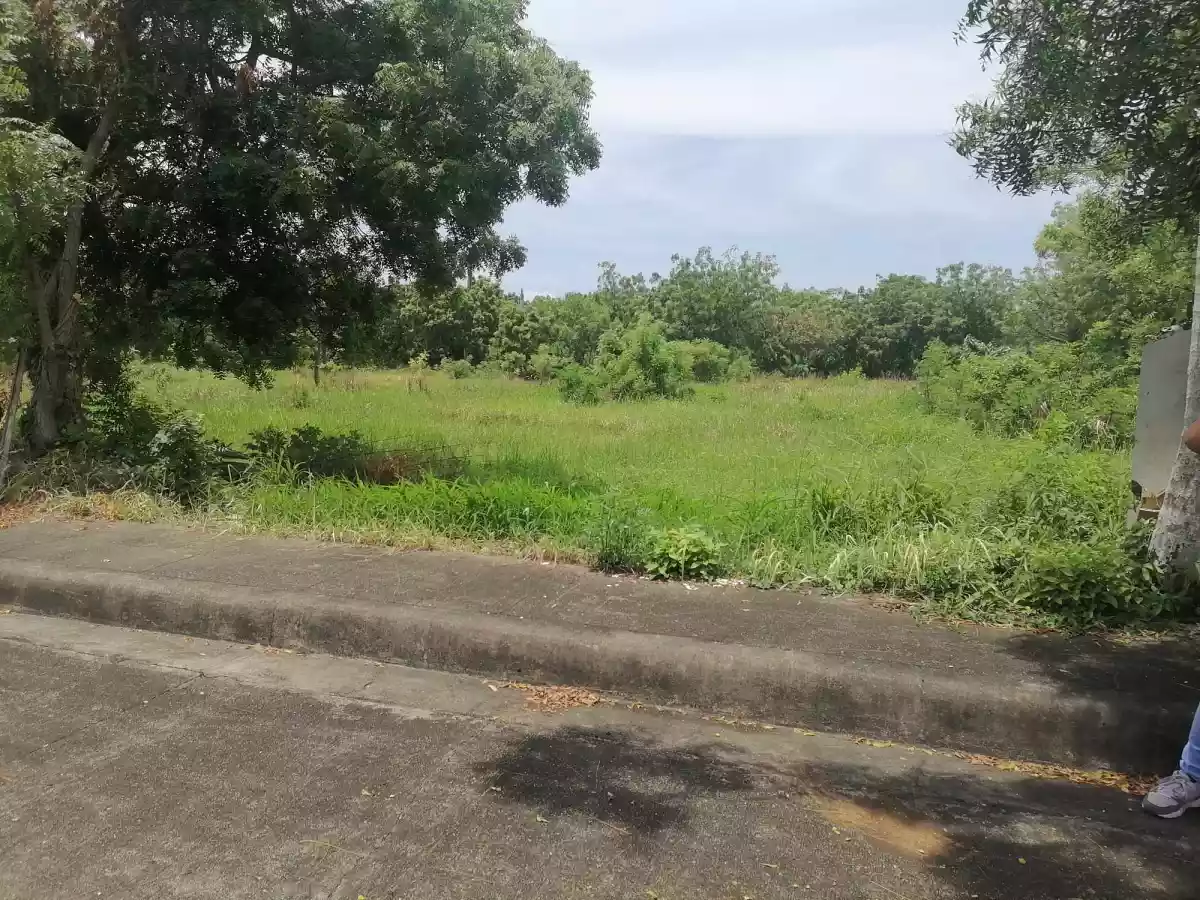Lot for Sale - photo 2
