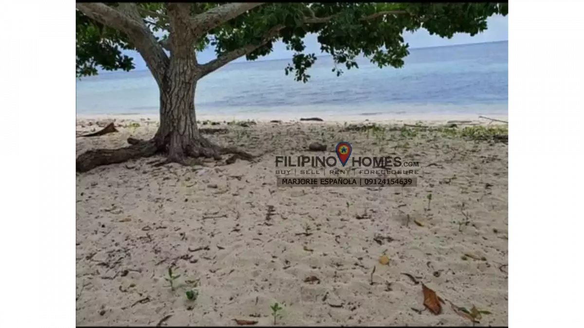 BEACH LOT FOR SALE (GLAN) — Beach Lot in Sarangani, Philippines — Photo 3