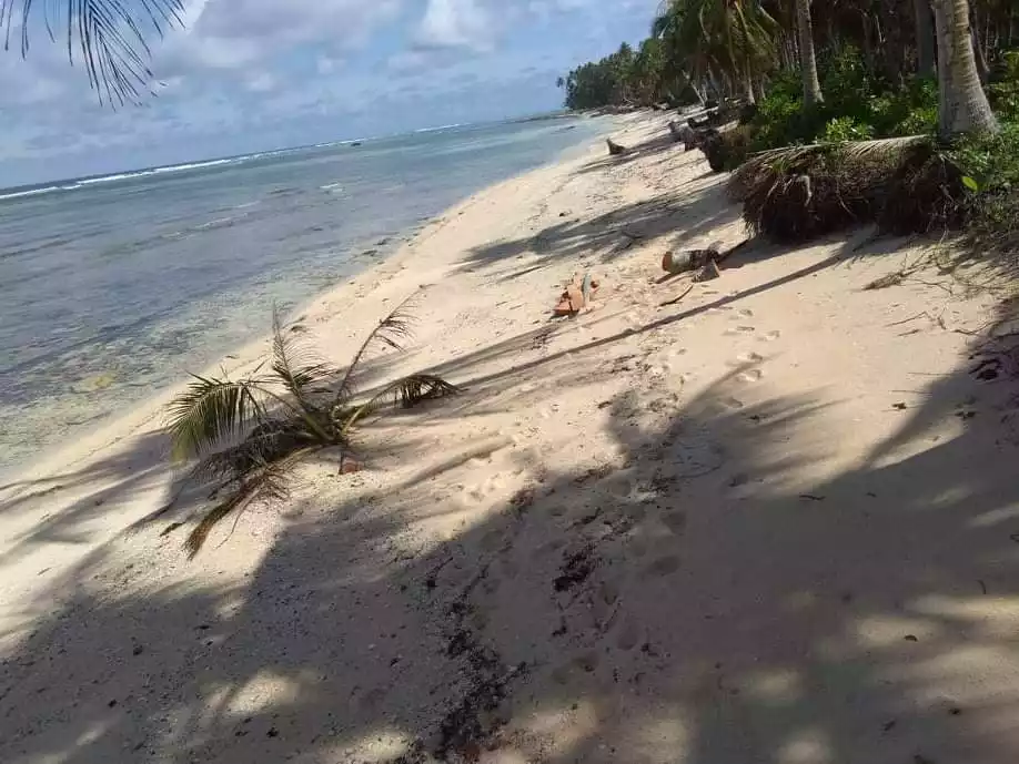 Beach Lot For Sale Sta. Monica, Siargao  - photo 5