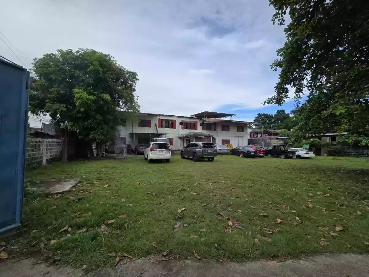 Property in Mandaue for Sale — Agricultural Lot in Mandaue, Cebu, Philippines — Photo 2