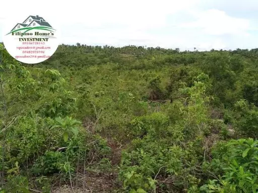 Very rush agri lot — Agricultural Lot in Cebu, Philippines — Photo 6