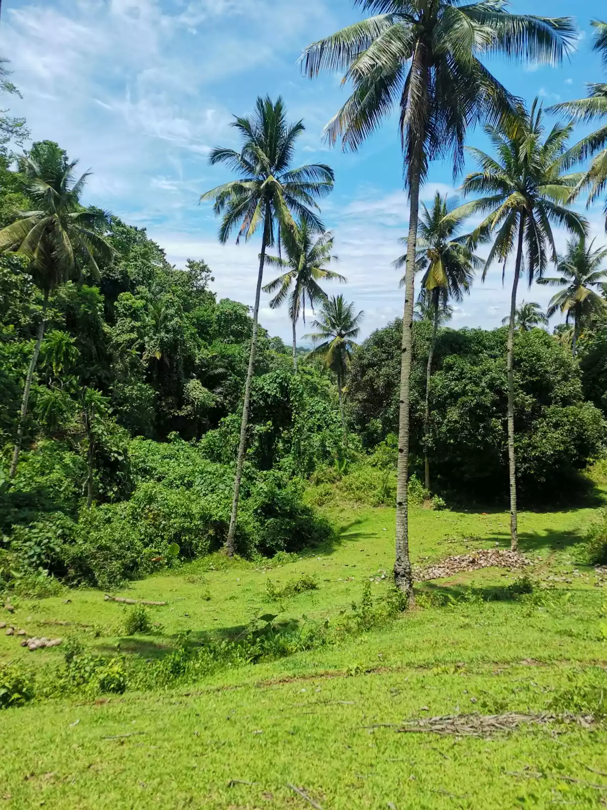BARAAS ILIGAN CITY-AGRI LOT FOR DEVELOPERS — Agricultural Lot in Iligan City, Lanao del Norte, Philippines — Photo 4
