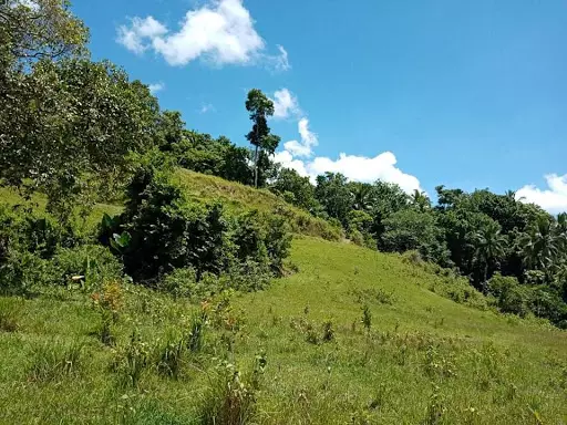 Open photo 12 of 27 — Very rush sale farm lot