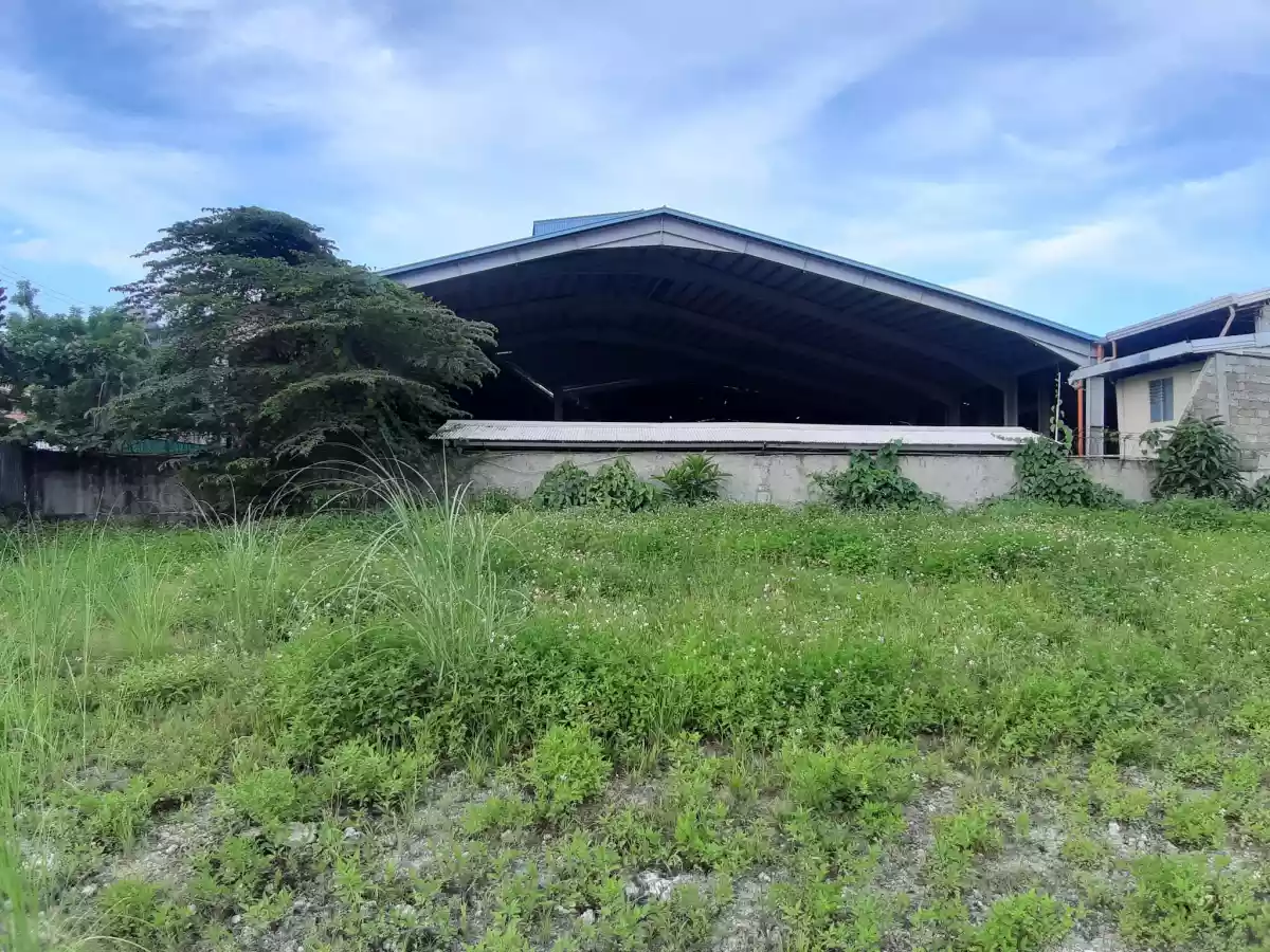 Lot for Sale near Canduman Market Mandaue City - photo 5