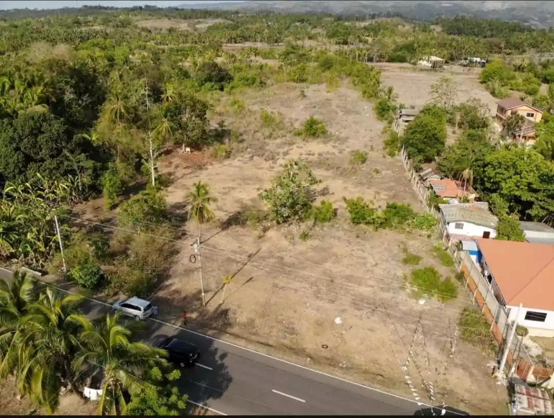 Commercial Lot - Balabagon Moalboal 