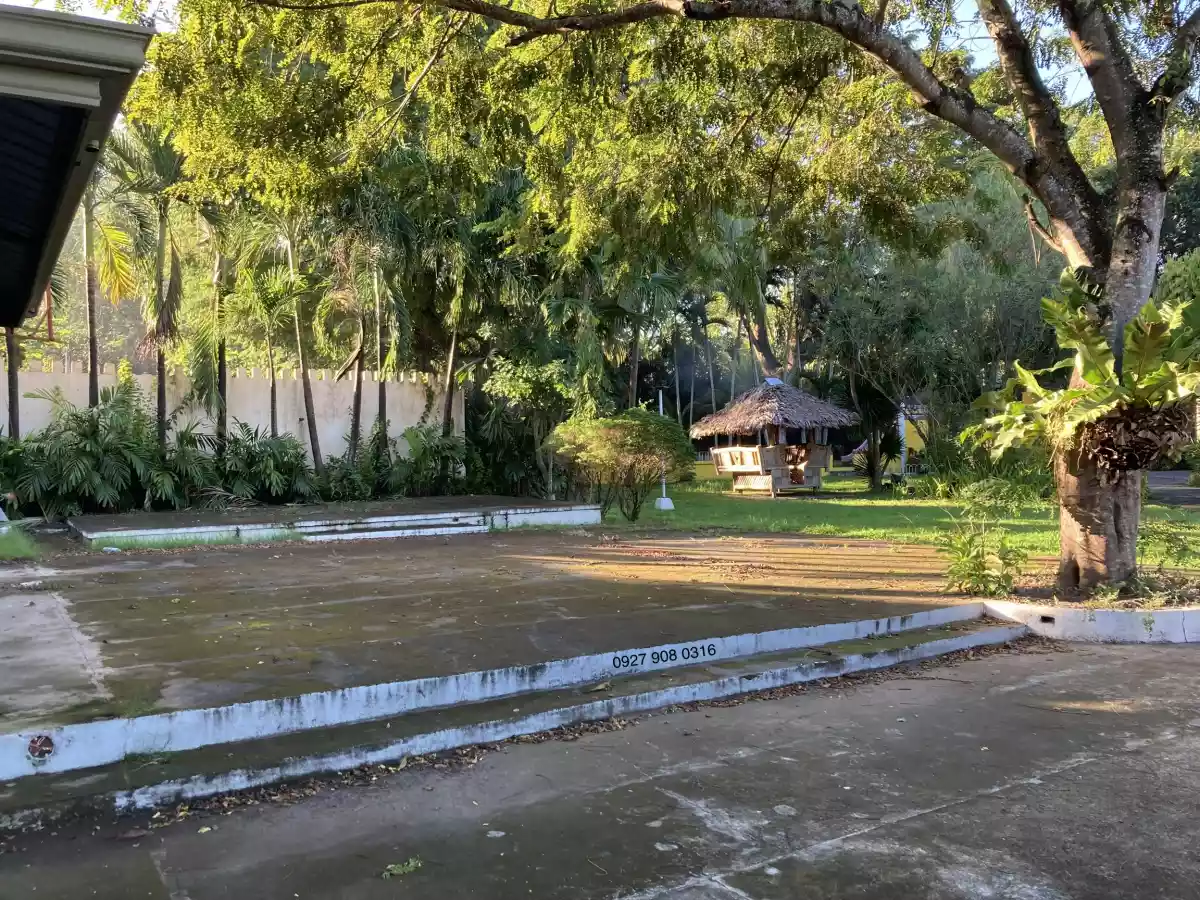 Commercial Lot For Lease Along Dumaguete City National Highway - photo 6