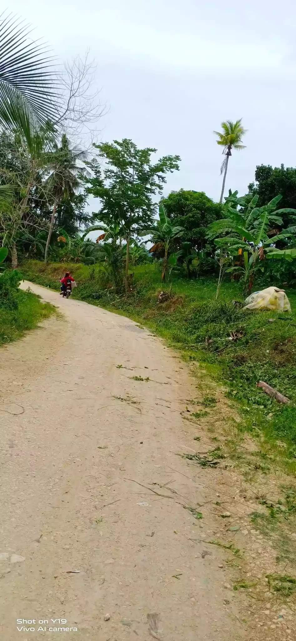FOR SALE : 28, 301 SQM LOT IN BARILI, CEBU - photo 3