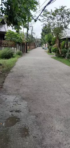 Open photo 17 of 21 — Cordova BIG LOT for SALE near CCLEX Cebu