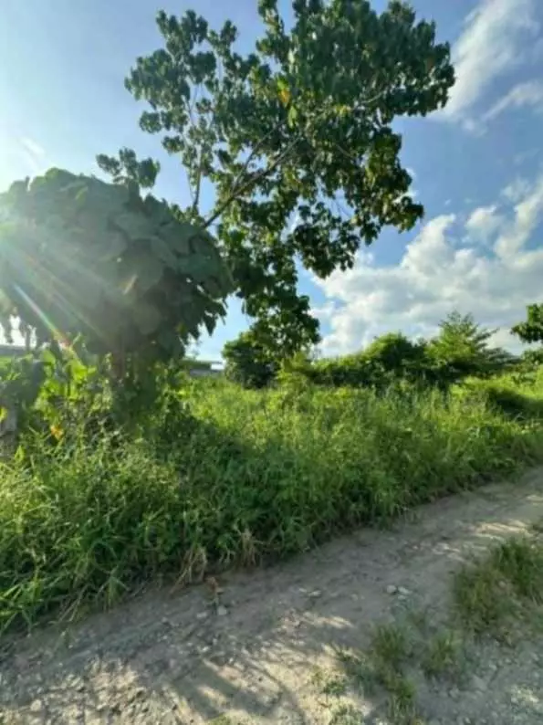 AFFORDABLE LOT FOR SALE — Agricultural Lot in Gen. Santos City, South Cotabato, 9500 — Photo 4