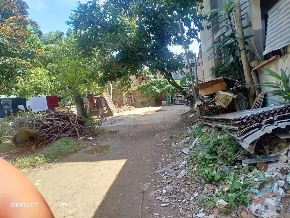 Talamban lot for SALE - photo 3