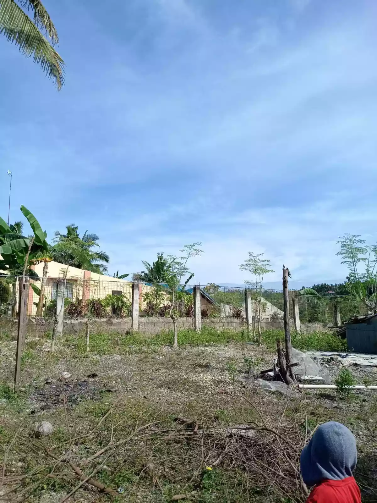 RESIDENTIAL LOT IN SAN FERNANDO, CEBU - photo 4