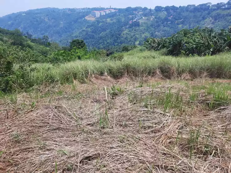 Tagaytay HOT Overlooking Lot w FREE Bungalow   - photo 7