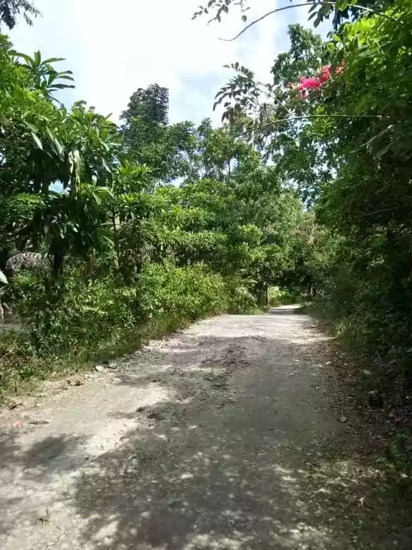 Lot for Sale - photo 5