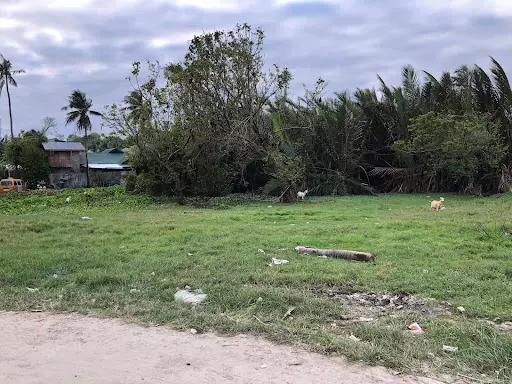 Lot for Sale in Looc Danao City — Agricultural Lot in Highway, Danao City, Cebu — Photo 5