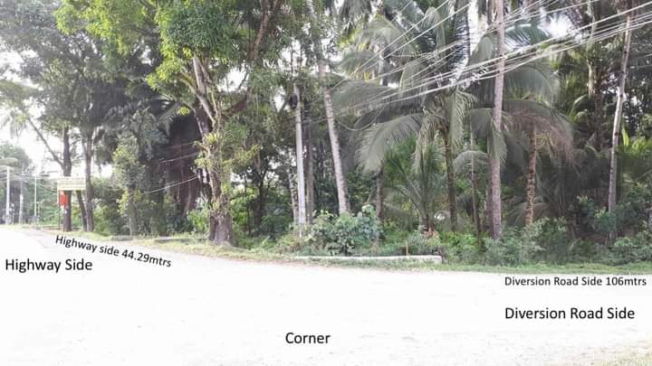 Commercial lot for Sale - photo 7