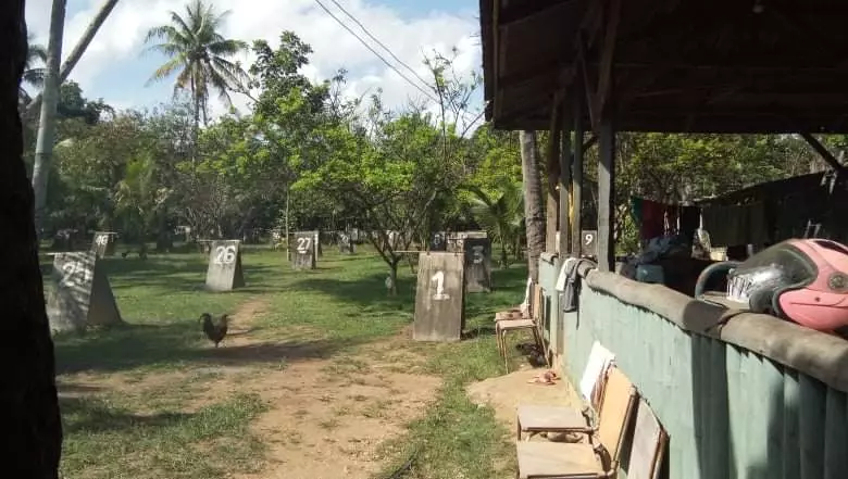 Lot for sale - photo 4